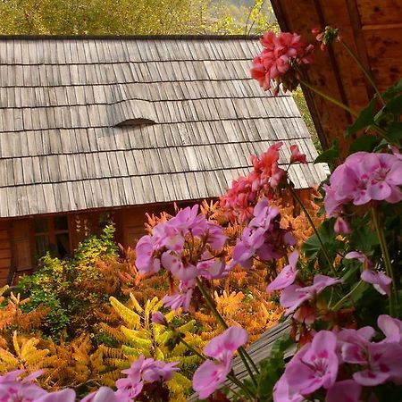 ויסו דה סוס Woodenhouse Maramures מראה חיצוני תמונה