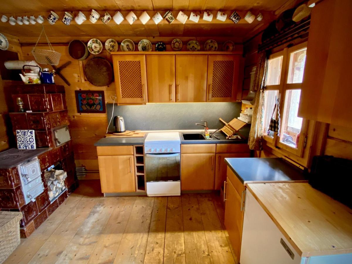 ויסו דה סוס Woodenhouse Maramures מראה חיצוני תמונה