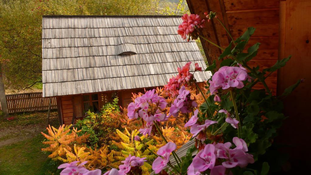 ויסו דה סוס Woodenhouse Maramures מראה חיצוני תמונה