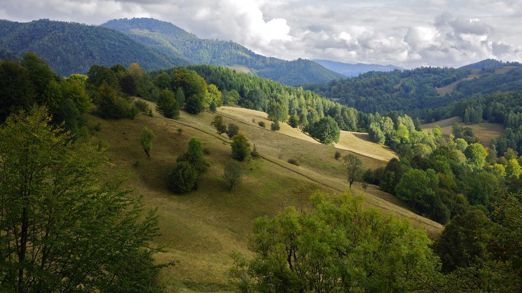 ויסו דה סוס Woodenhouse Maramures מראה חיצוני תמונה