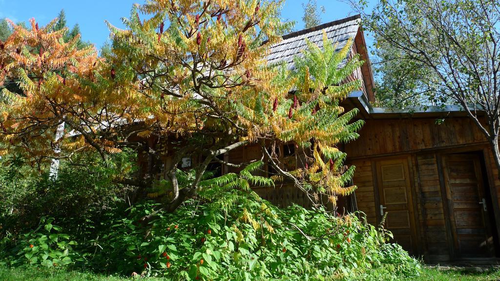 ויסו דה סוס Woodenhouse Maramures מראה חיצוני תמונה