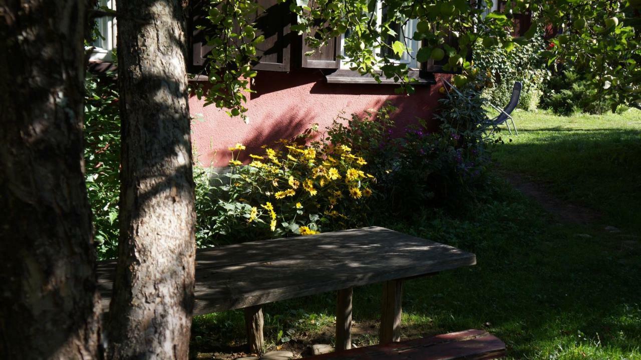 ויסו דה סוס Woodenhouse Maramures מראה חיצוני תמונה